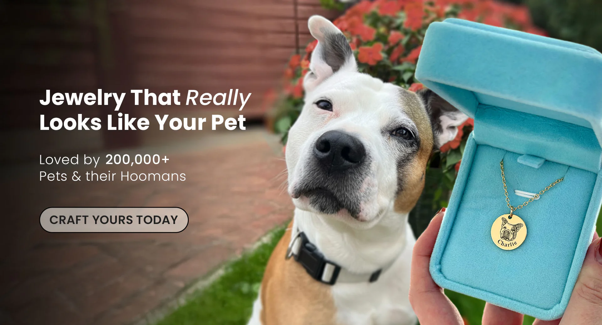 Welcome to Our Store